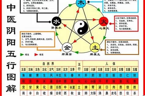 1984年屬什麼|84年属什么生肖 1984年出生人的性格特点